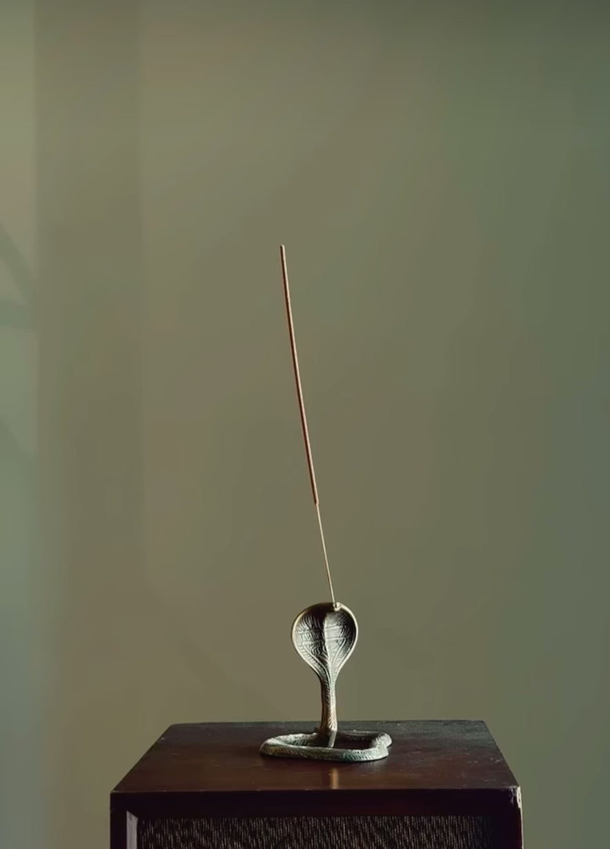 Plant World Studio Incense - Low Frequency